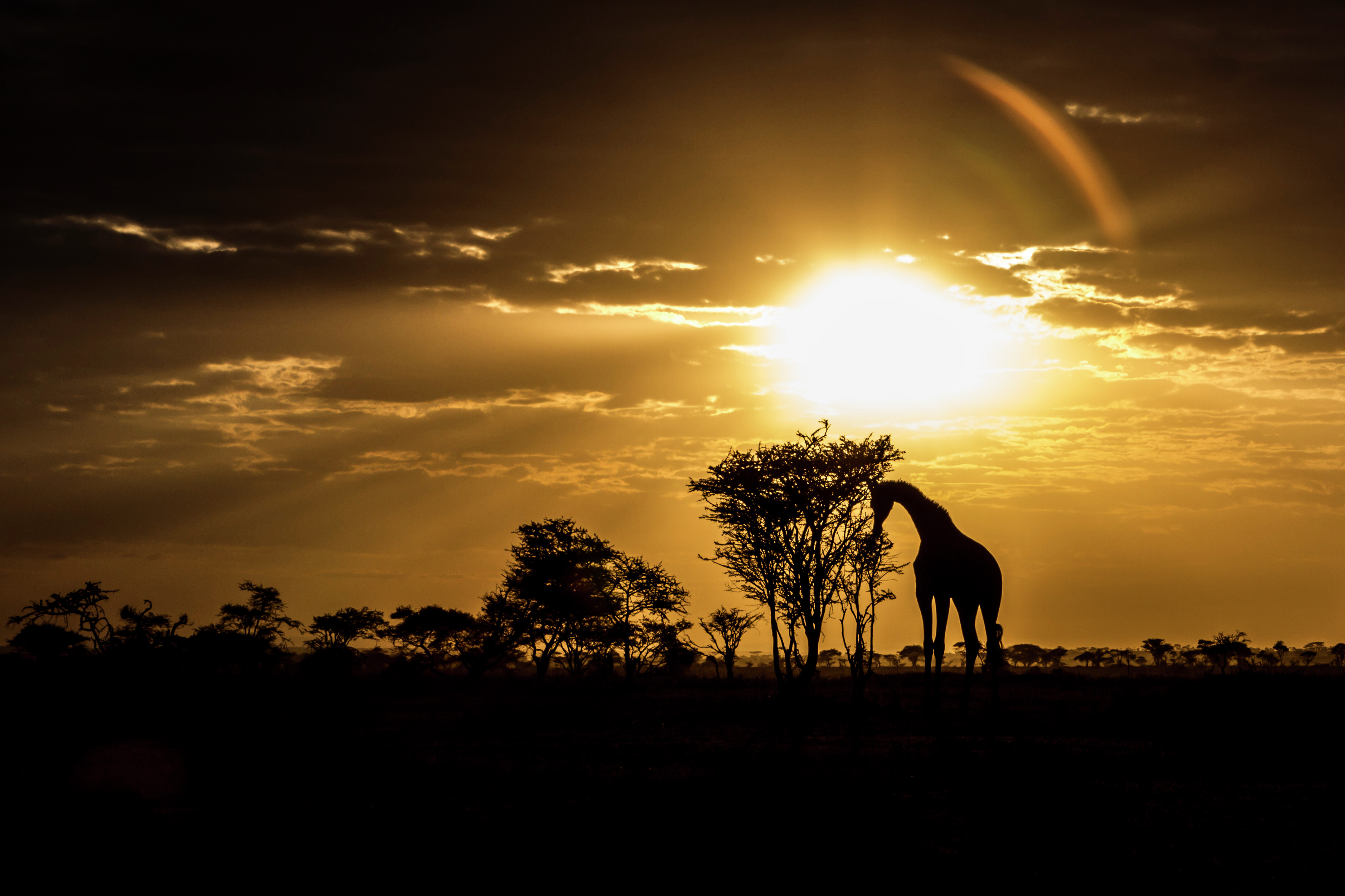 Good Morning Tanzania Good Morning Tanzania